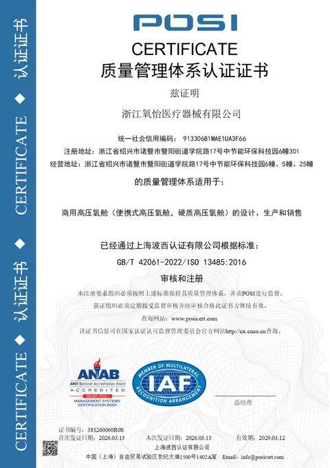 ISO 13485:2016 quality management system certificate (Chinese page)