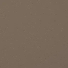 NAPA 21 swatch