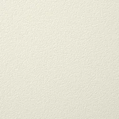 NAPA 537 swatch