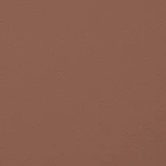 NAPA 55 swatch