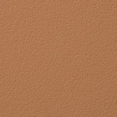 Pumpkin swatch