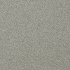 Light Grey swatch