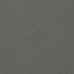 Galaxy Grey swatch