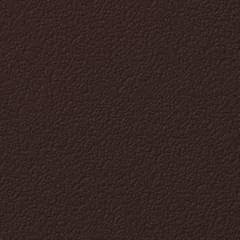 Dark Brown swatch