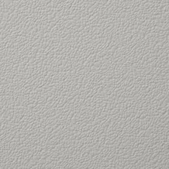 Light Grey swatch