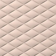Soft Pink swatch